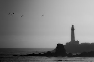 Pigeon Point Light House
